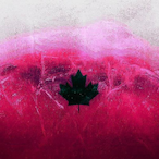 CharM1ng.BWC's Avatar'