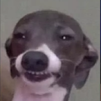 ave misora's Avatar'