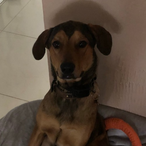 contrversaI's Avatar'