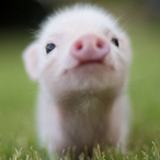 NoooManWhatttMan's Avatar'