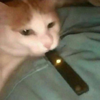 OffTheXotics's Avatar'