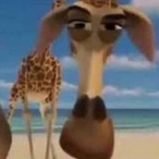 xiclibics7's Avatar'