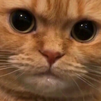goromgorom's Avatar'