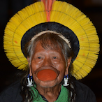 joaosemterra.'s Avatar'