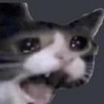 EvasiveDad's Avatar'