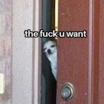 LittlestJeff007's Avatar'