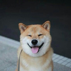 Hyuk_Yi's Avatar'