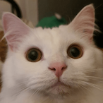 LuckyMellow's Avatar'
