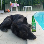 BTSManagement's Avatar'