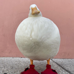 er_mere's Avatar'