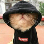 IIIuIIuIII's Avatar'