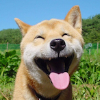 ShindouAmane.'s Avatar'