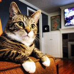 gutterboy44's Avatar