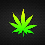 Tayzert's Avatar'