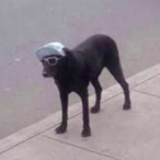 xTR_Kastro's Avatar'