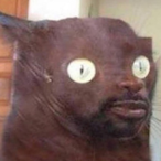 SmudgeNDudge's Avatar'