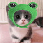 minibbini's Avatar'