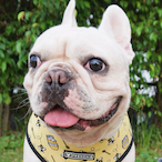 FUN_KING's Avatar'