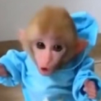 QuszerXD's Avatar'