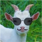 Little-goat's Avatar'