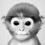 qtKito's Avatar'
