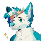 Furry's Avatar'
