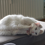 Bonkkerrs.'s Avatar'