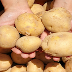 Potato_RECYCLED's Avatar'