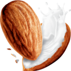 Right.Testacle's Avatar'