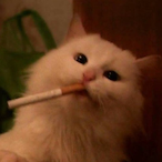 ifykykIIII's Avatar'
