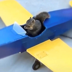 HydroPort-87's Avatar'