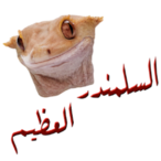 SlmndarEl3zeem's Avatar'