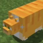 Forklift_10's Avatar'