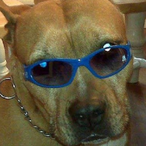 DrankMaye's Avatar'