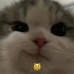 Denzeroz's Avatar'