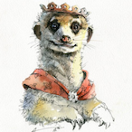 Meerkat_GG's Avatar'