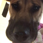 dadwoncustody's Avatar'