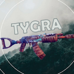 Mr Tygra's Avatar'