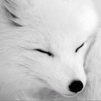 sharpish-iiodine's Avatar'