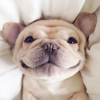 SmallDudette's Avatar'