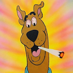 SkoobyDoobieDoo's Avatar'