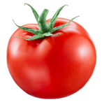 BobboTomato's Avatar'