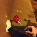 CMETAHA.ZIQT's Avatar'