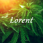 CucaDragon's Avatar'