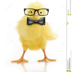 Chichen1717's Avatar'