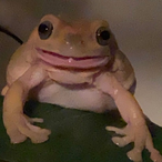 jacobdogg21's Avatar'