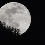 Black_Matrix's Avatar'