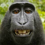 SaVienDPrft__93's Avatar'