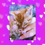 Stinkstiefel_92's Avatar'