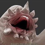 AJ Eclipsed's Avatar'